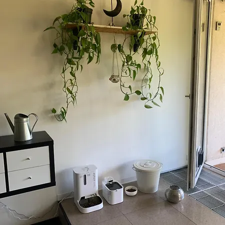 Large 120m With Garden And Cat Near Zoo Apartment