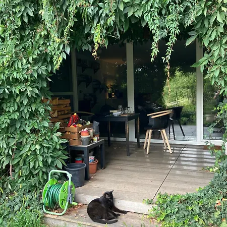 Large 120m With Garden And Cat Near Zoo Apartment *